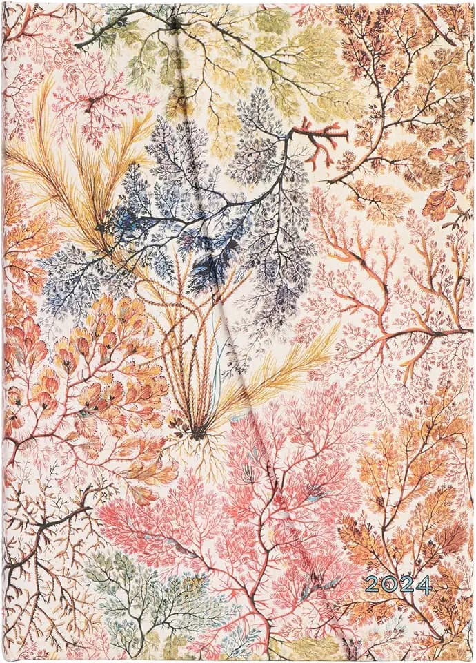Paperblanks 12-Monatskalender 2024 Anemone | Verso | Midi (130 × 180 mm)