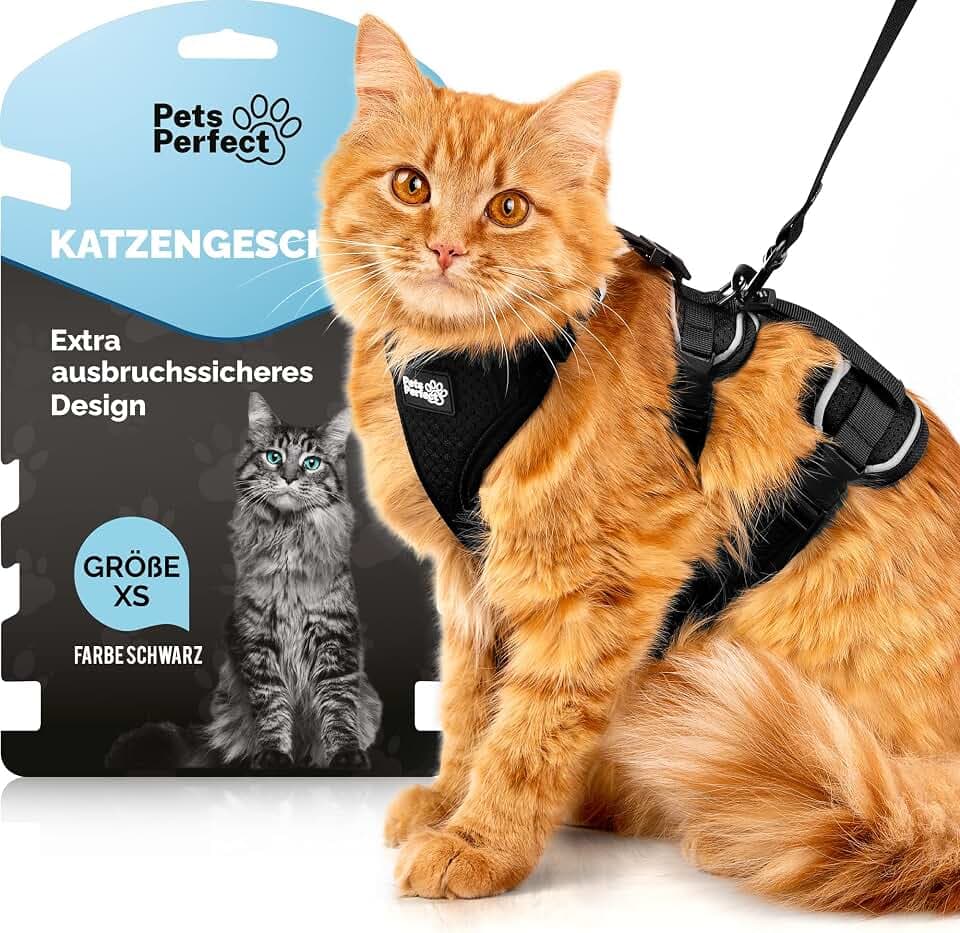 Katzen Geschirr Set MIT Leine – Katzengeschirr mit Leine Ausbruchsicher – extra sicheres & verstellbares Katzengeschirr für Spaziergänge – Größe XS, Schwarz