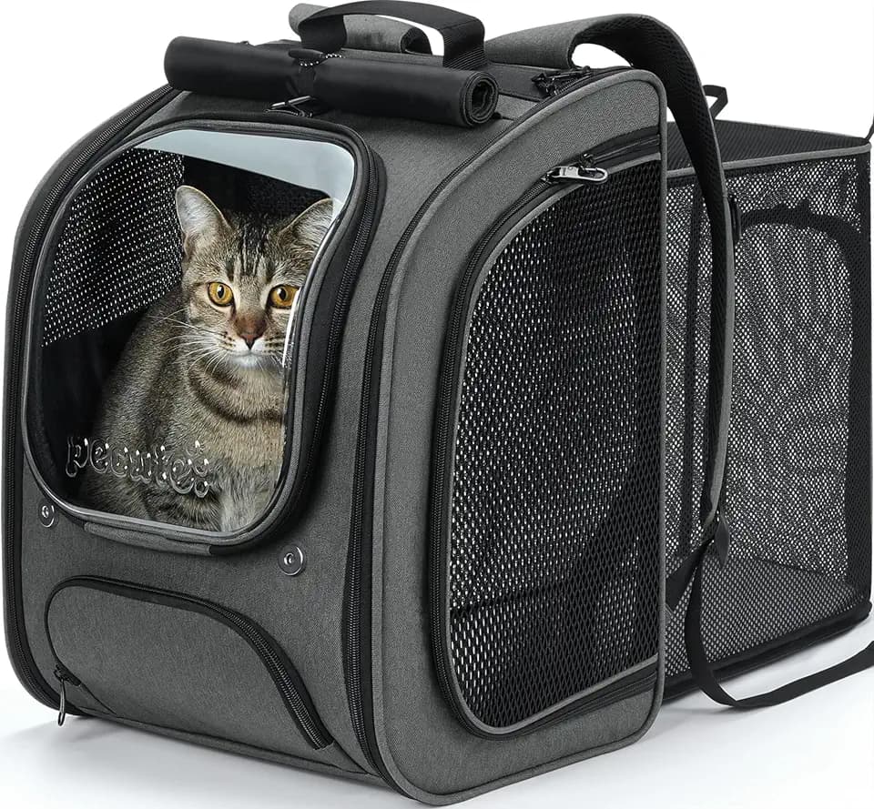 Pecute Cat Backpack Carrier,Cat Bubble,12.6" L x 10.2" W x 16.5" H,Gray