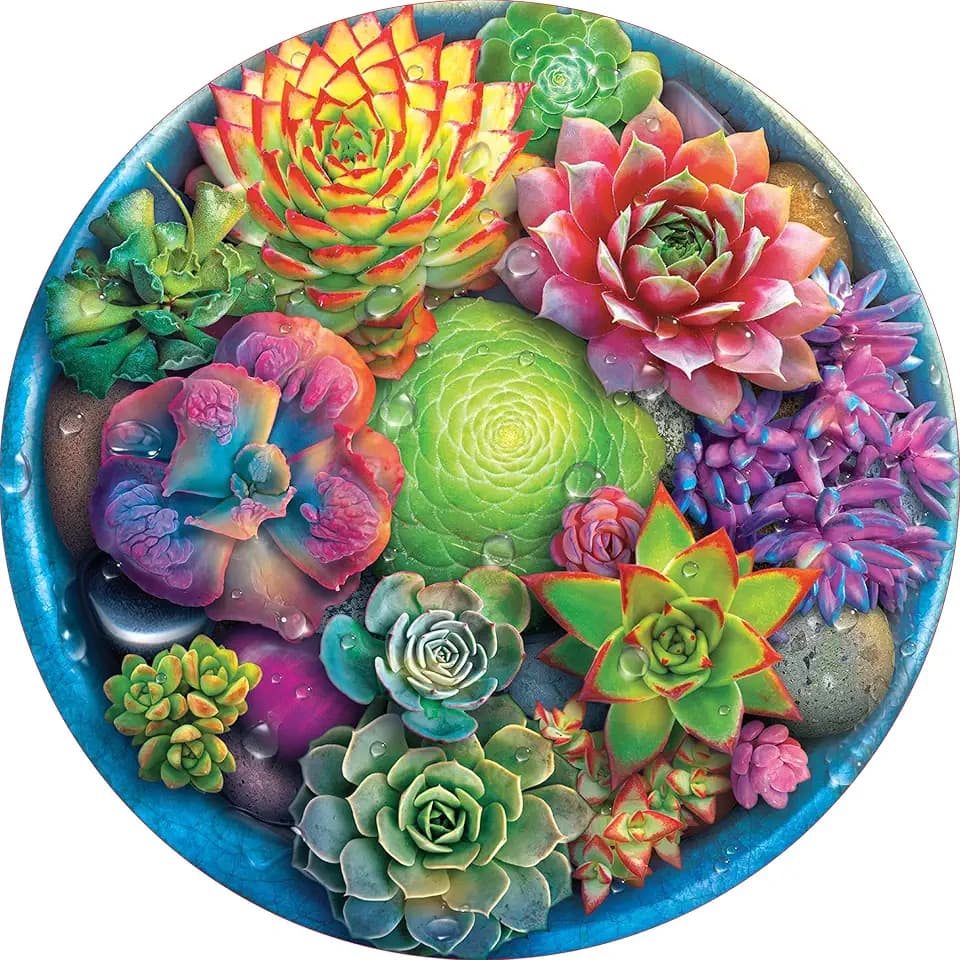 Ceaco - A Circle of Succulents - 500 Piece Jigsaw Puzzle for Adults