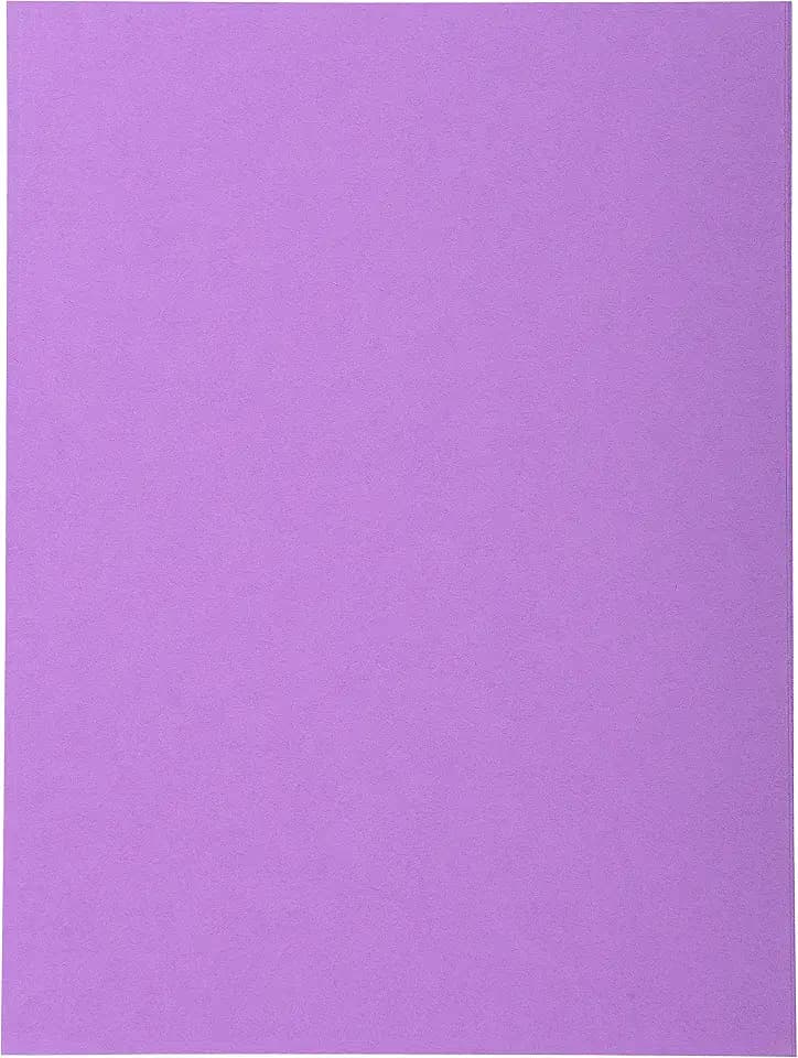 Exacompta 420016E 100er Pack Aktendeckel Forever® 170 g/m2 Aus Recycling-Karton für DIN A4 Blauer Engel ideal für die lose Blatt-Ablage flieder Sammelmappe Dokumentenmappe