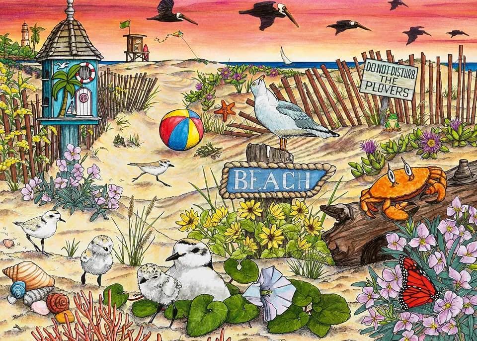 Wonder Forge Don't Disturb the Plovers 1000 Piece Jigsaw Puzzle for Adults