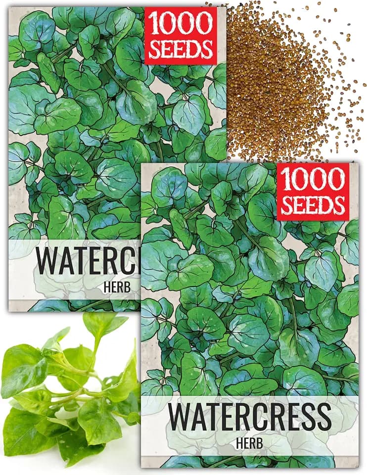 Seed Needs Herb Seeds to Plant Watercress - Heirloom Non-GMO Herbs 2 Packs