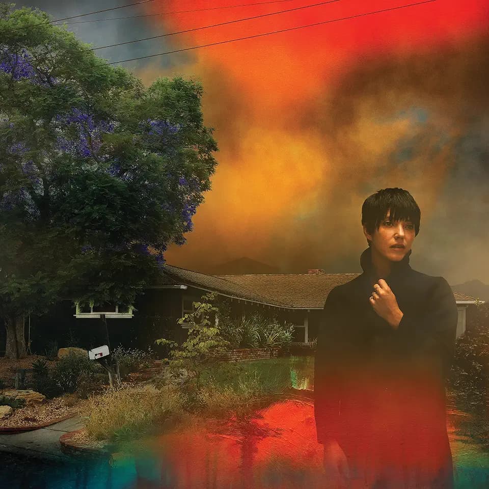We'Ve Been Going About This All Wrong-Deluxe Edit [Vinyl LP]