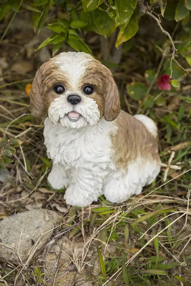 Hi- Line Gift 87762-BR Shih Tzu Sitting Brown/White Dog Statue