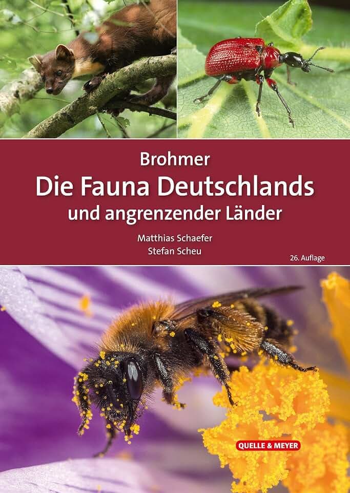 Brohmer – Die Fauna Deutschlands und angrenzender Länder: Ein Bestimmungsbuch unserer heimischen Tierwelt (Quelle & Meyer Bestimmungsbücher)