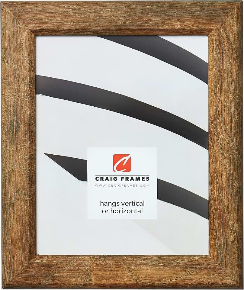 Craig Frames Arthur Picture Frame, 19 x 25 Inch, Brown Barnwood