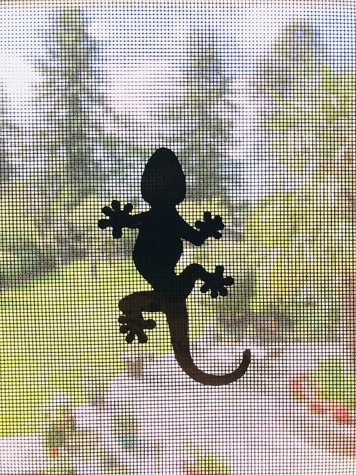 Retractable Screen Door Decals - 5 per Package - Keep Children Safe - Alert Birds, Dogs, Kids - Warn, Protect, Window Safety - Geckos (Black)