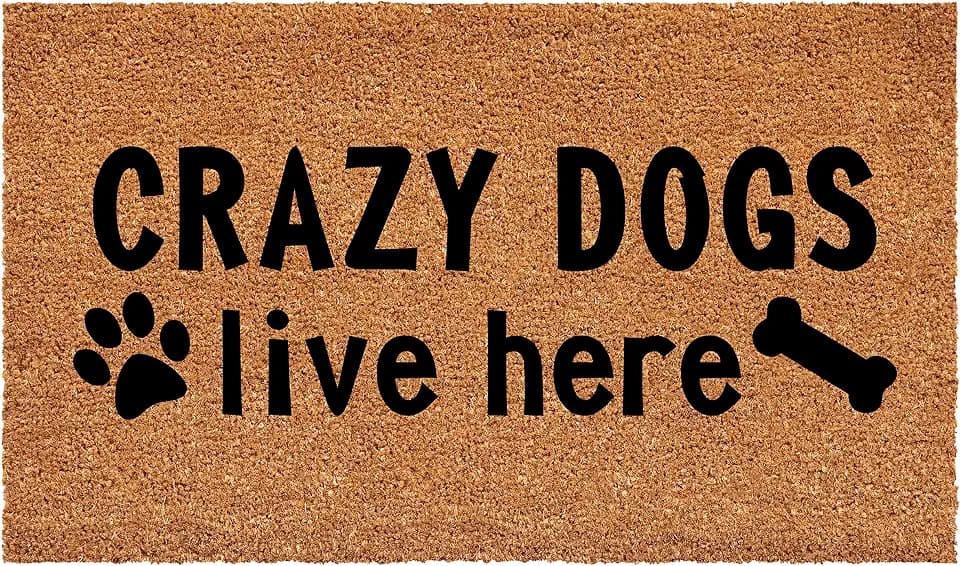 Calloway Mills Crazy Dogs Live Here Doormat, 17" x 29"