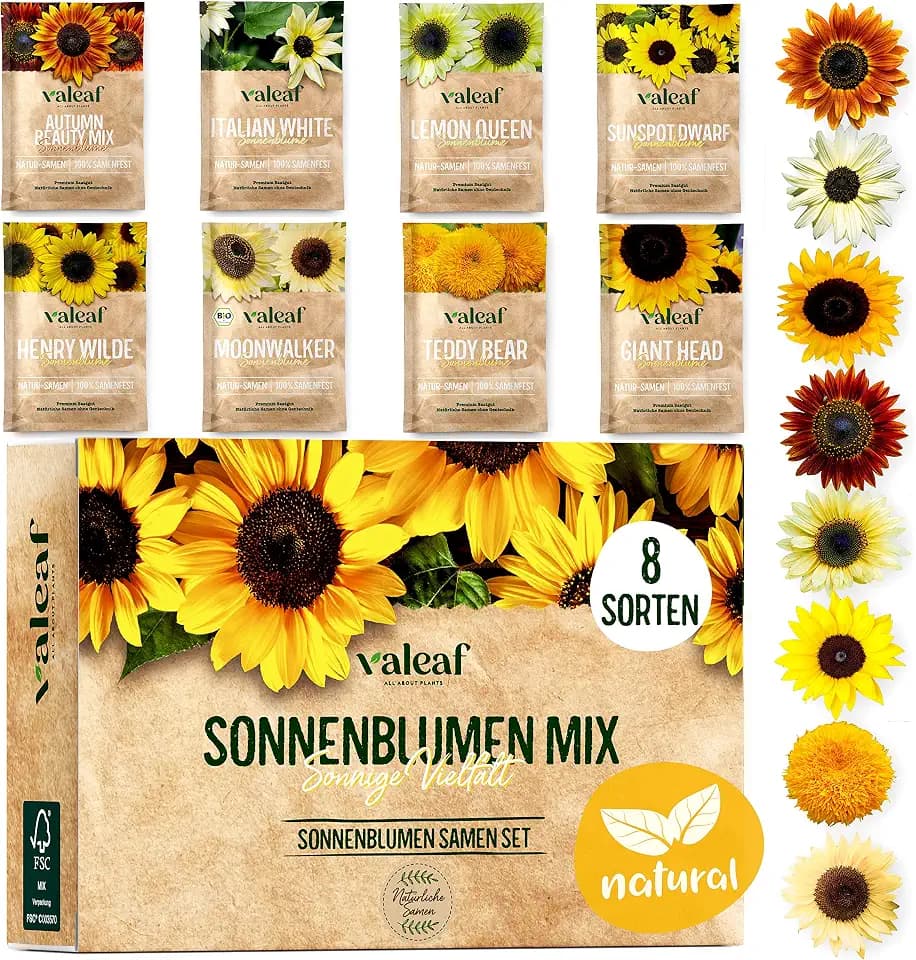 valeaf Sonnenblumen Samen Set - 8 Sorten Sonnenblumensamen - Sonnenblume Blumensamen im praktischen Pflanzen Set - Sommerblumen Samen Wildblumenmischung - Blumen Samen zum Pflanzen
