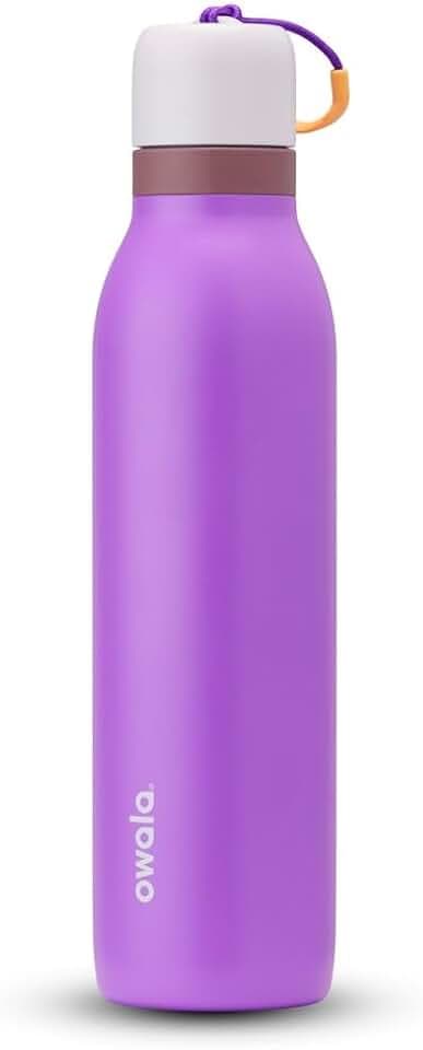 Owala FreeSip Twist Stainless Steel Water Bottle 24 oz California Grapevine