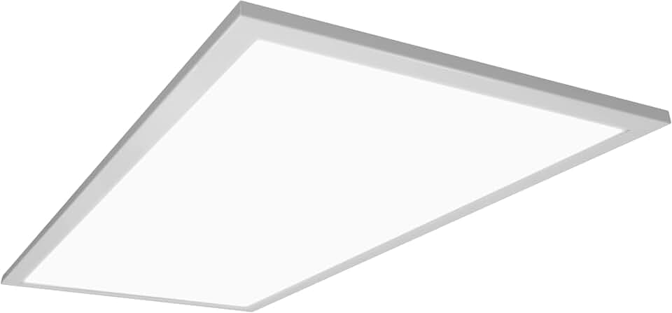TGLS2 Series Double Select 2x4 Backlit LED Troffer (2-Pack) (TGLS224U-2PK)