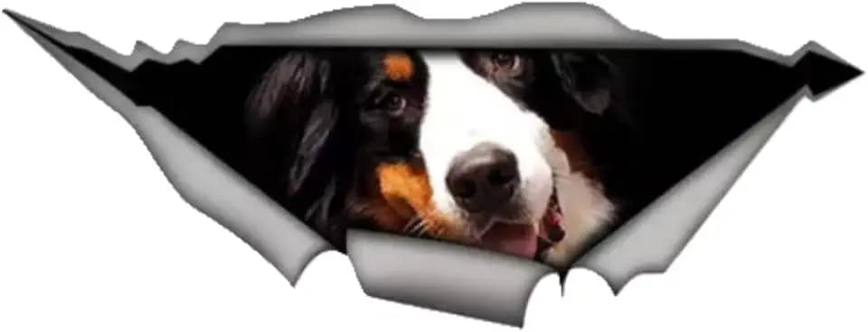 Autoaufkleber 25cm(9.8 Inch) Berner Sennenhund Aufkleber Bernese Mountain Dog Car Sticker Berner Sennenhund Lustig Wasserdichte Aufkleber Personalisieren 3D Zerrissen Reflektierende Aufkleber