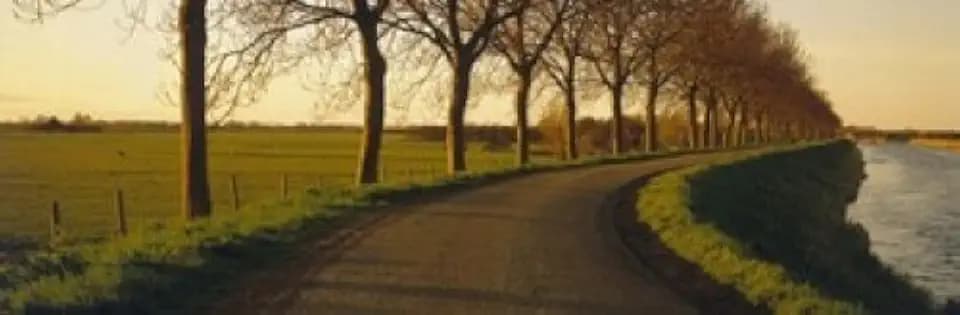 Posterazzi Winding Road Trees Oudendijk Netherlands Poster Print, (36 x 12)