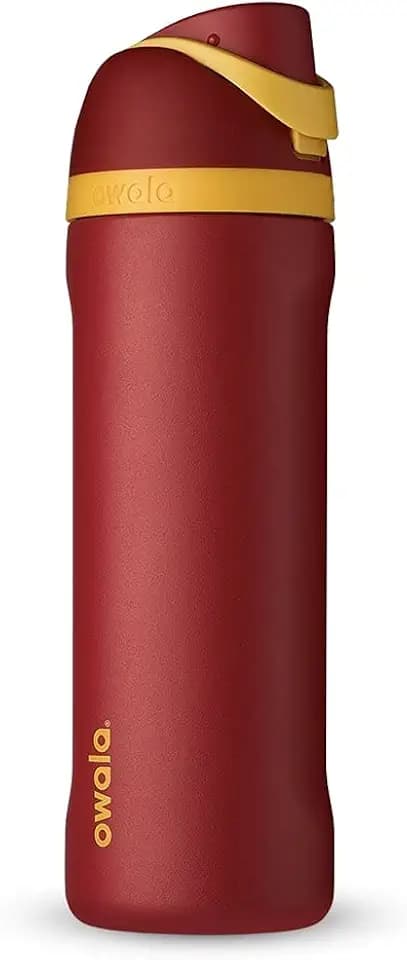 Owala Harry Potter FreeSip Stainless Steel Water Bottle 24 oz Gryffindor