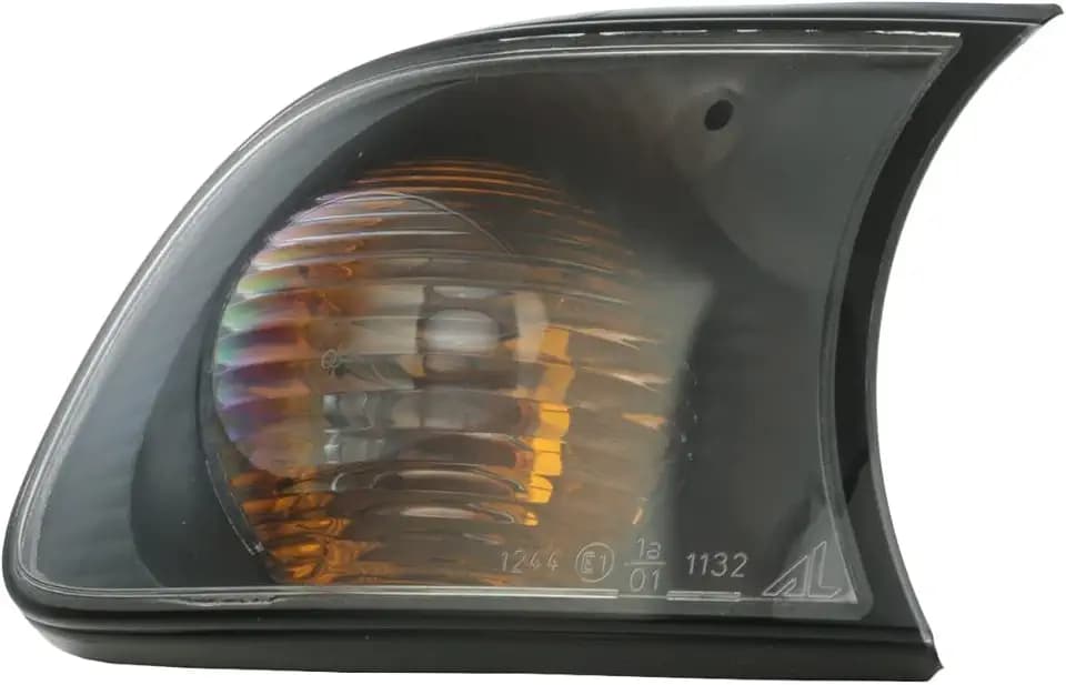 Magneti Marelli 710311330006 Blinkleuchten, Recht