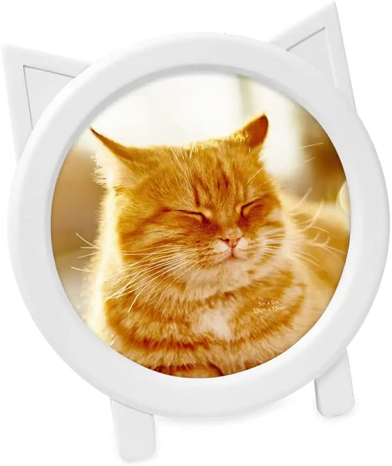 Isaac Jacobs 5x5 Round Resin Sentiment Cat Picture Frame with Ears