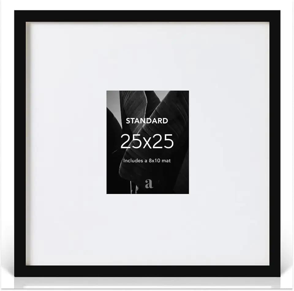 artisane home goods 25x25 Picture Frame Matted to 8x10, Black