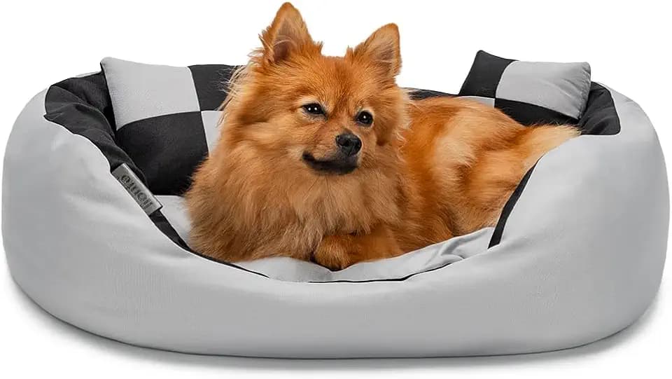 lionto Hundebett 4-in-1 mit Wendekissen, 65 x 50 cm, Schwarz