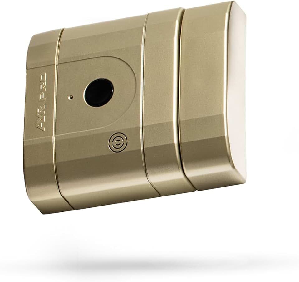 Int_LOCK PRO Hochsicherheits-unsichtbares elektronisches Schloss, mattes Messing-Finish.