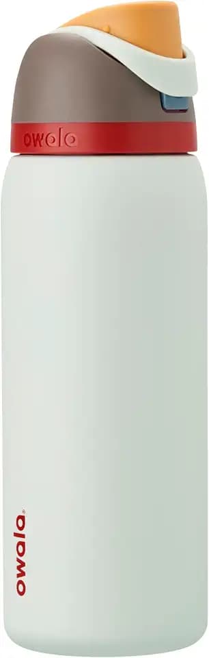 Owala FreeSip Stainless Steel Water Bottle 32 oz Boneyard