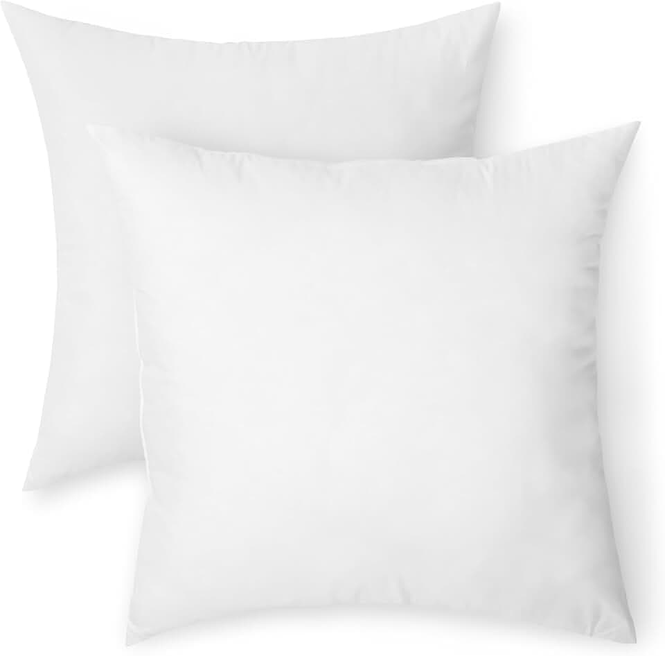 Amazon Basics Throw Pillow Insert, Down Alternative Fiberfill, Hypoallergenic, Machine Washable, 20 Inch, 2-Pack, for Sofa Bed Couch
