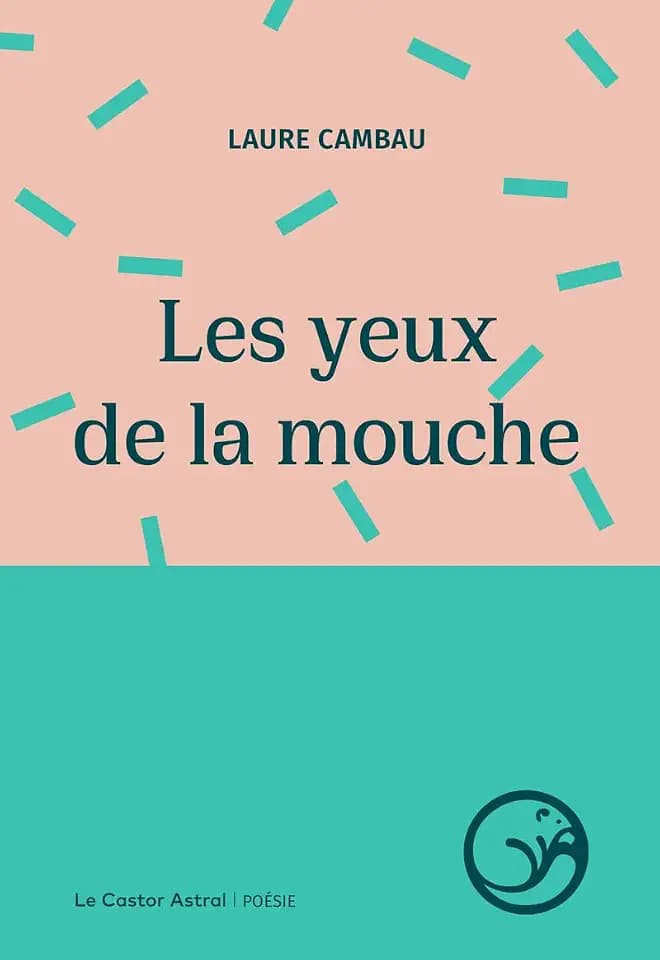Les Yeux de la mouche