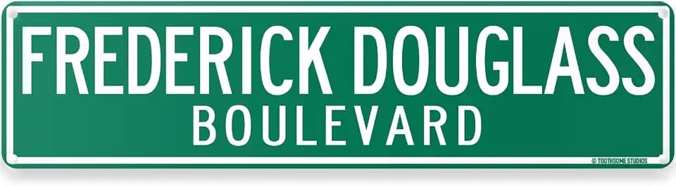 Frederick Douglass Boulevard New York City Theme Street Sign 16" x 4" Tin Wall Decor Big Apple African American History Garage Home Bar Decoration (FrederickDouglassStreet)