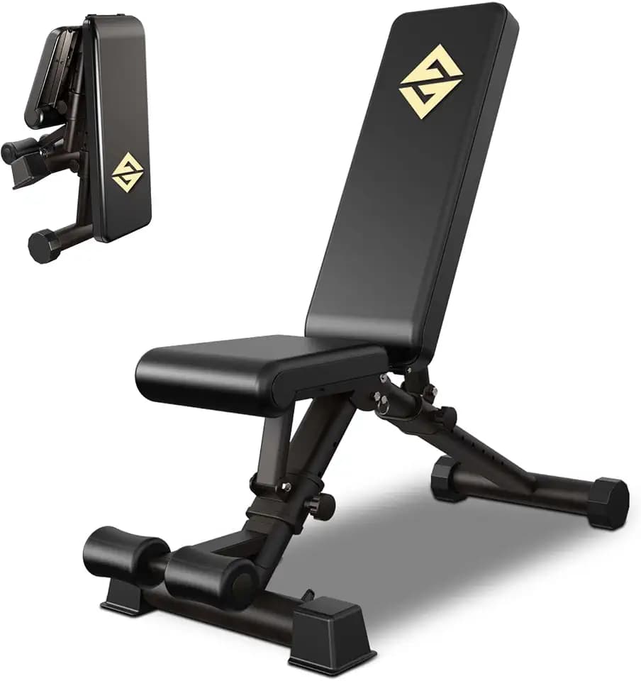 Adjustable Weight Bench, Exercise Dumbbells Bench for Full Body Workout,Foldable Workout Bench for Home Gym