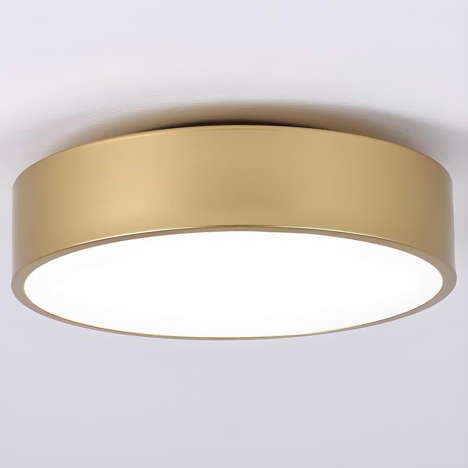 2-Light Modern Gold Flush Mount Ceiling Light 11.8 Inch