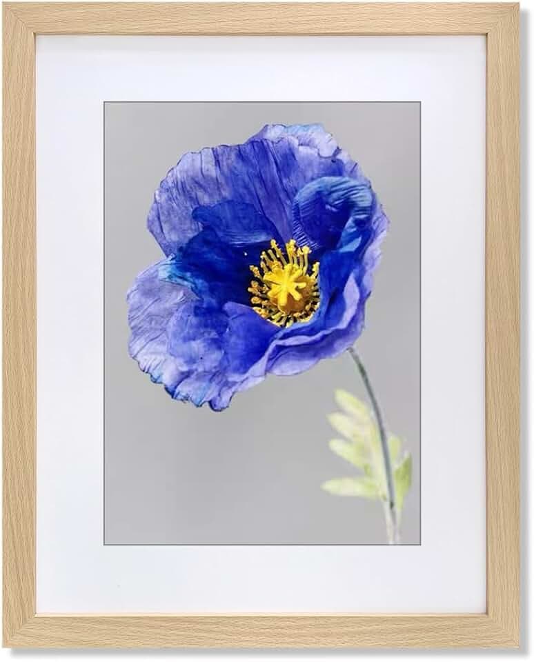 VNVNK 18x24 Frame with 16x20 Mat Wood Color Picture Frame Home Decor-1PCS