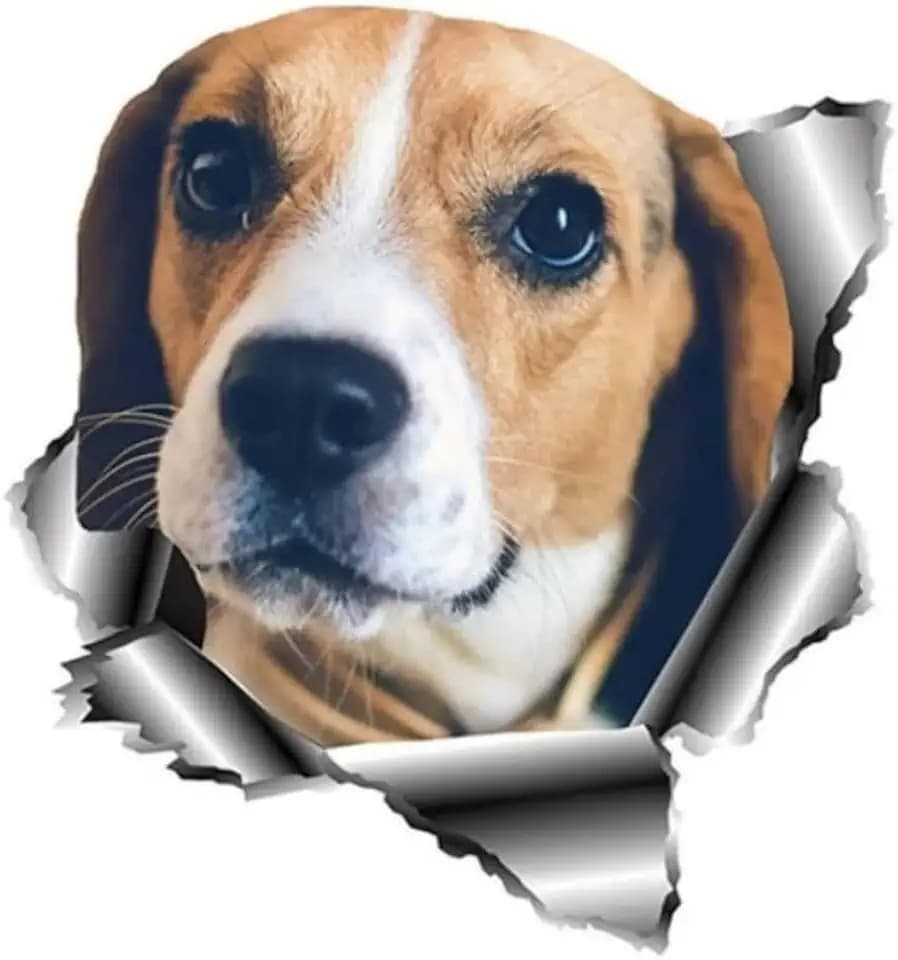 Beagle Hund Aufkleber, Wasserfest Reflektierend, 3D Zerrissenes Design für Auto, Kühlschrank, Laptop, Fenster, Haus Dekoration (22cm/8.7 Inch)