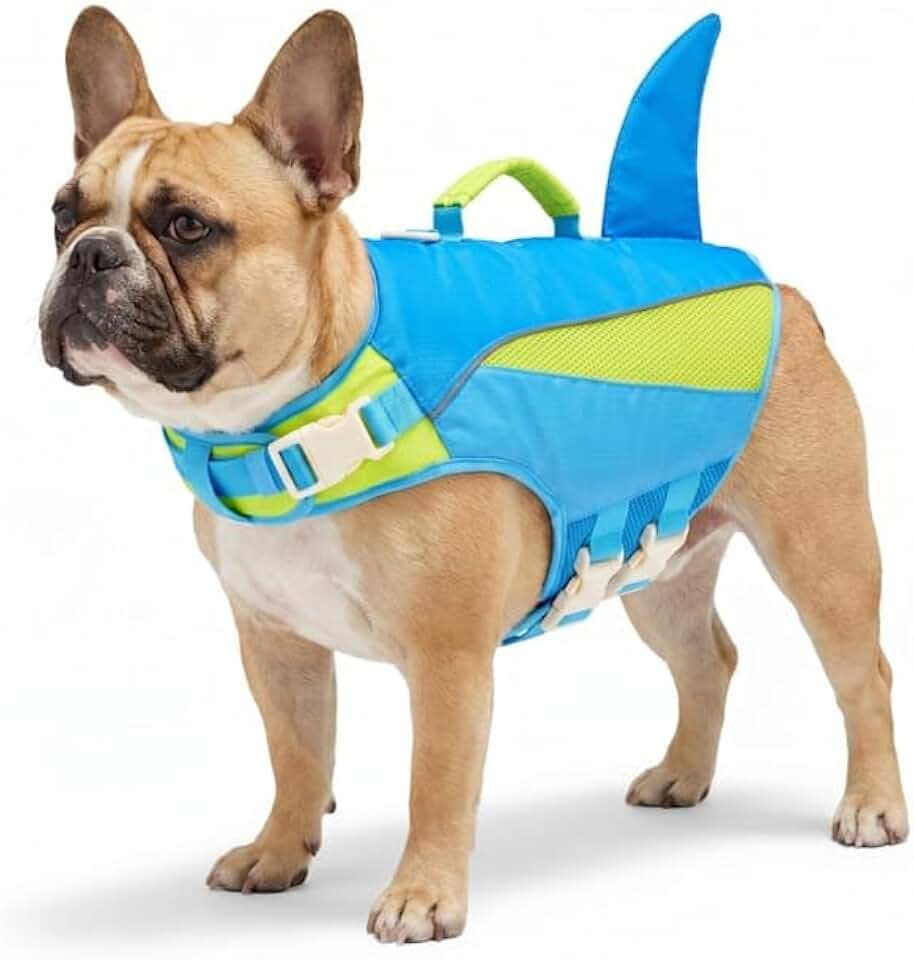 YOULY by Petco Dog Flotation Vest with Shark Fin X-Large