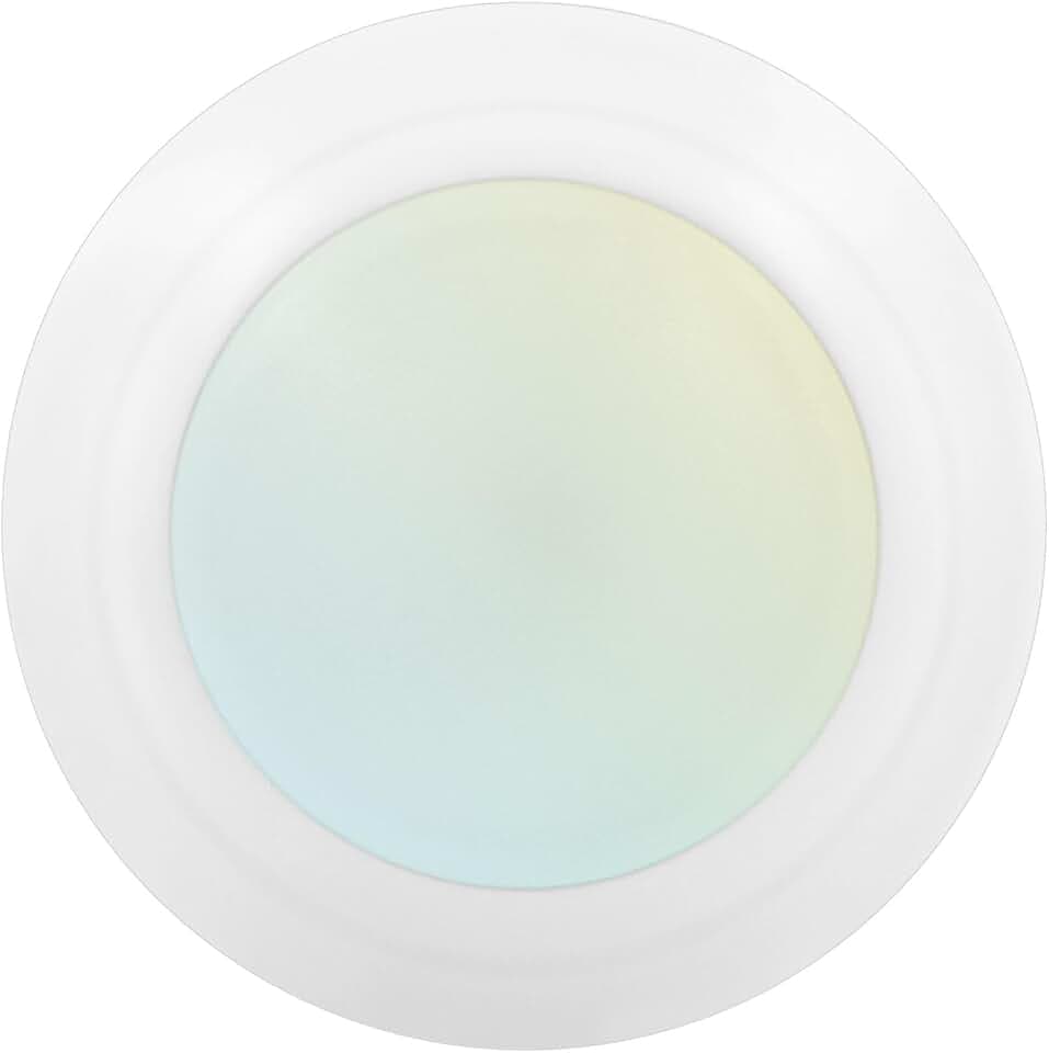 LUXRITE 4 Inch LED Disk Lights, Dimmable Flush Mount Ceiling Light (1 Pack)