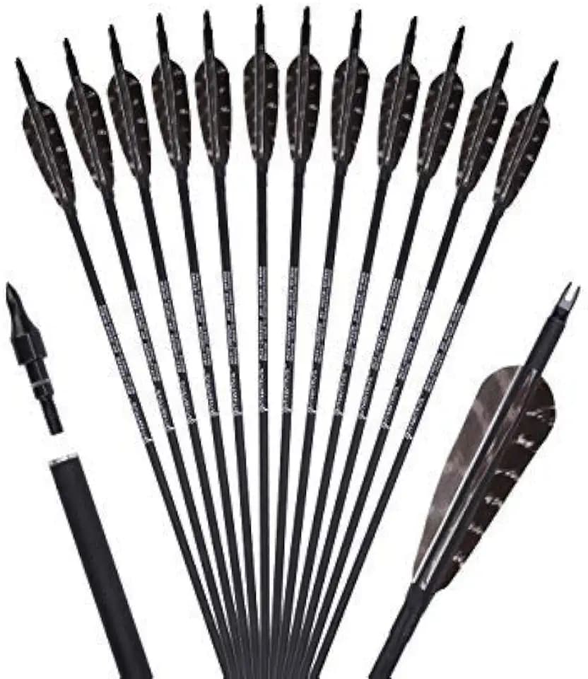 Archery 31-Inch Carbon Hunting Arrows, Turkey Feather Fletching with Replaceable Points, Targeting Practice Arrows Spine 500 for Recurve Bow, Longbow, Traditional Bow