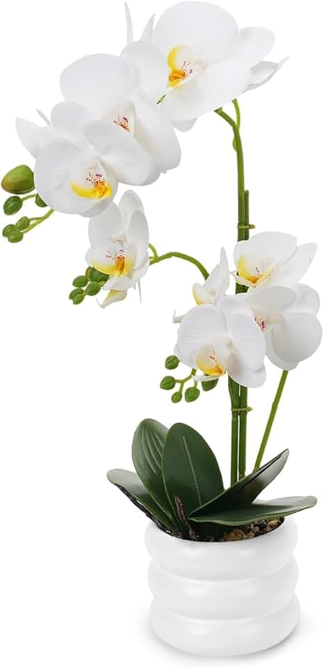 20" Large White Phalaenopsis Artificial Orchid Plant in Ceramic Vase - Real Touch Faux Orchid Flower Arrangements for Dining Table Centerpiece, Home Office Decor (White)