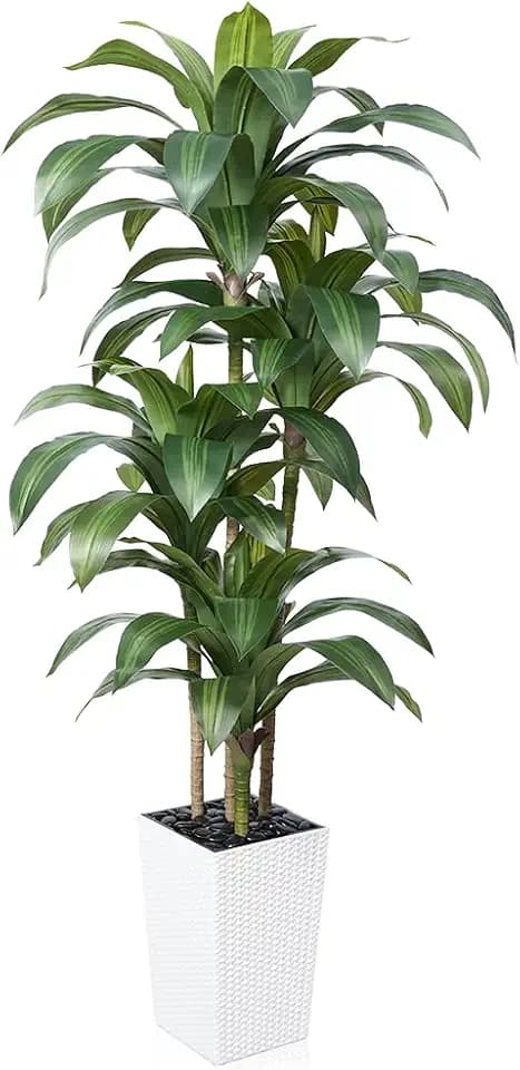 VeriNatural Artificial Dracaena Tree 6FT - Fake Tree with White Taper Planter & Pebbles - UV Resistant Faux Yucca Tropical Plant - Artificial Trees for Home Office Living Room Decor Indoor Outdoor