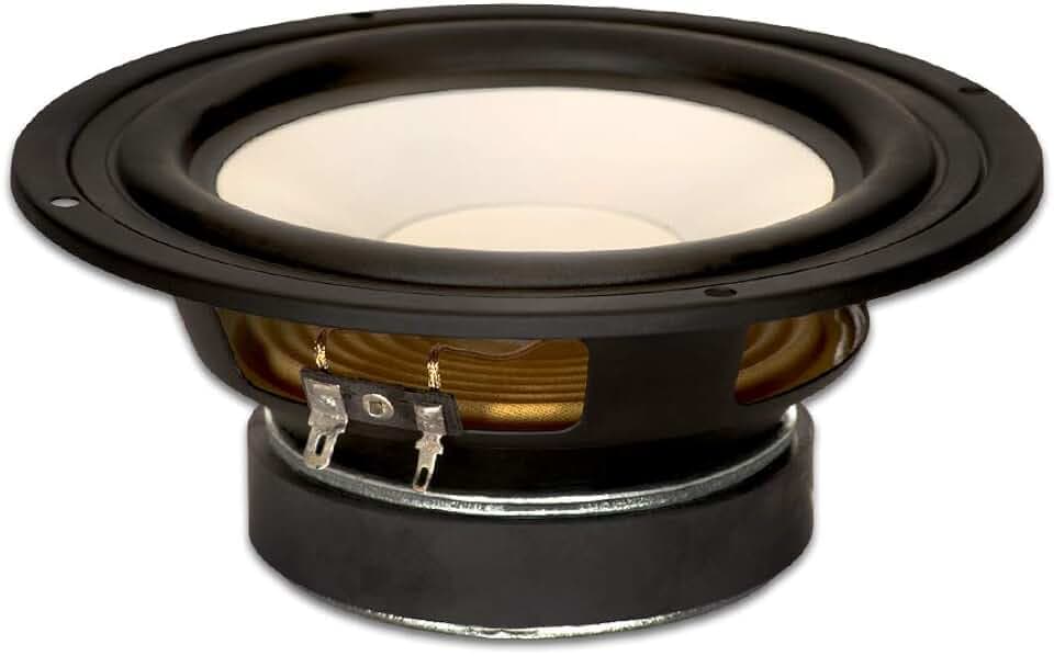 Goldwood Sound GW-S650/8 Poly Cone 16,5 cm Woofer 170 Watt 8 Ohm Ersatz-Lautsprecher, Schwarz