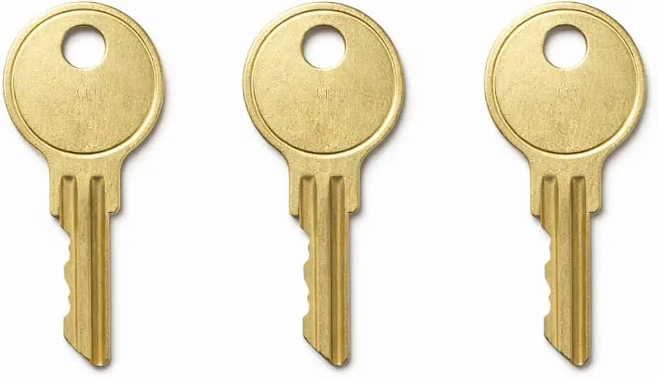 3 Pack 1101X Step Door Keys, Compatible with Coleman/Fleetwood Pop-Up Campers from 1965 to May 1997