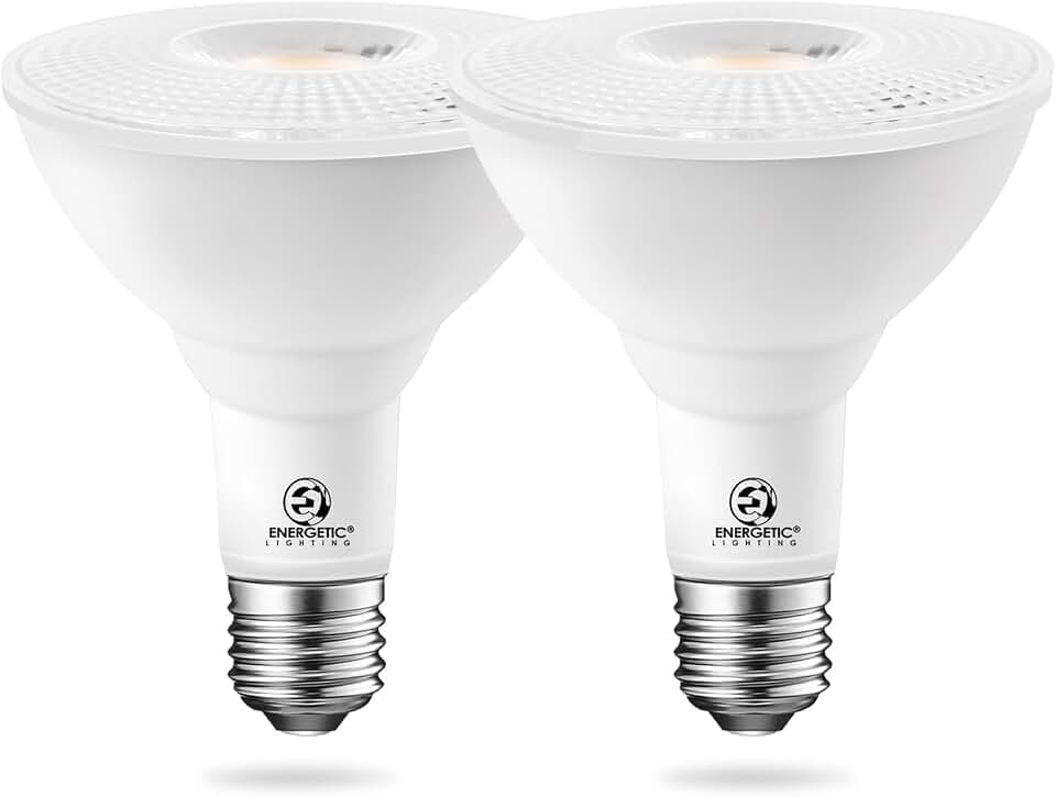 Energetic 2 Pack PAR30 LED Bulbs, Flood Light Outdoor Indoor 75 Watt Equivalent 10W Dimmable,3000K Warm White,1000 Lumens,E26 Base,IP65 Waterproof LED Recessed Light Bulbs for Security