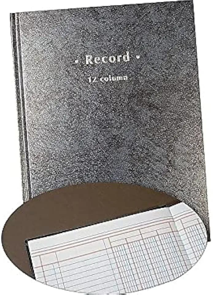Staples Columnar Book, 12-Column Accounting Ledger, Black Hardbound