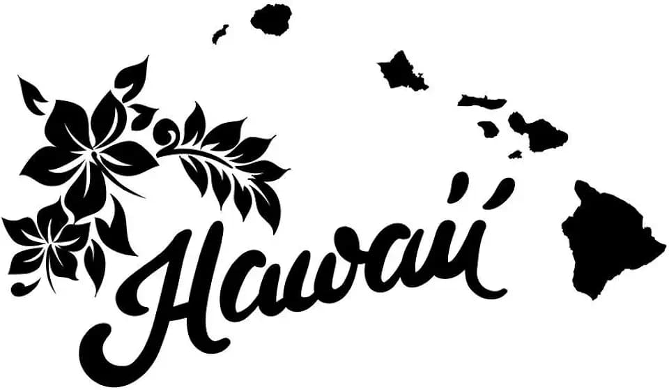 ND305 State Of Hawaii Decal Sticker | 8-Inches By 4.6-Inches | Premium Quality Black Vinyl