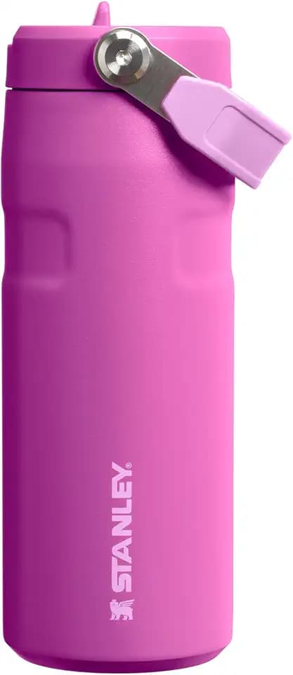 STANLEY IceFlow Flip Straw 2.0 Bottle, 16 oz, Dark Blossom