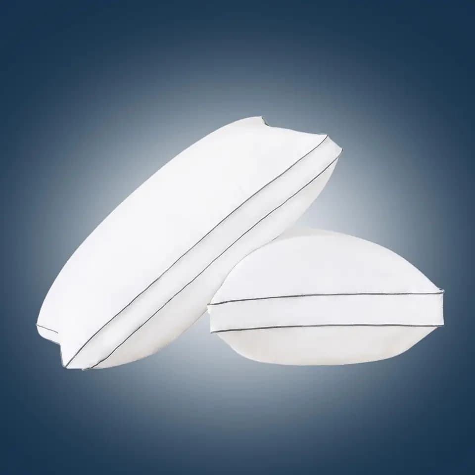 SHOUREN Goose Down Pillows Queen Set of 2, Pillow with Gusseted, 18 * 28"