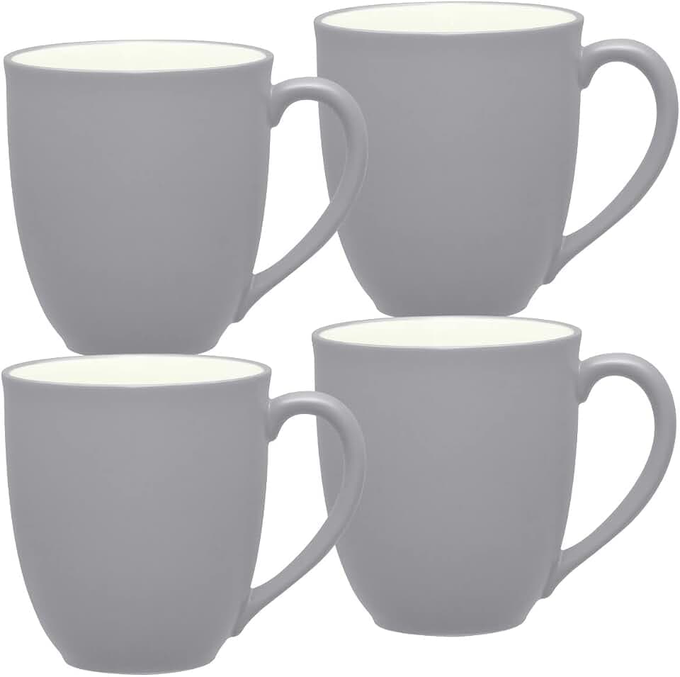 Noritake Colorwave Slate Set of 4 Mugs, 12 oz.