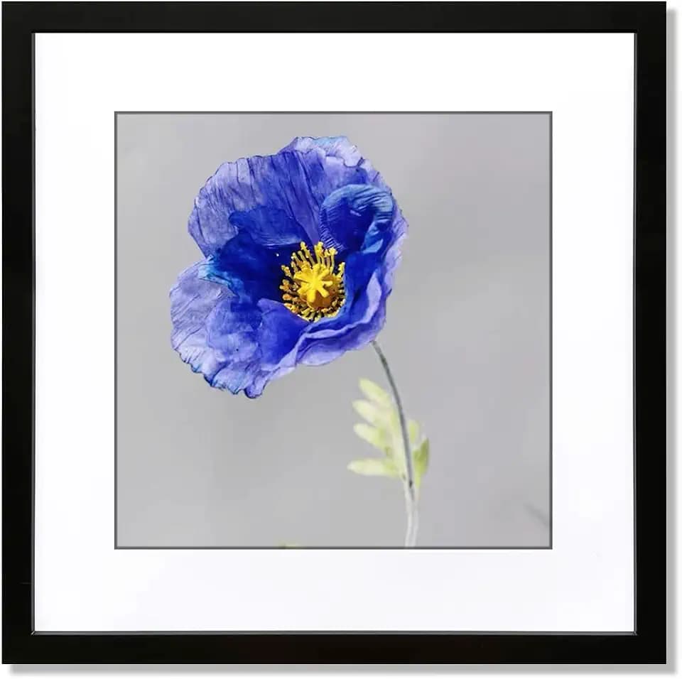 VNVNK 24x24 Frame with 20x20 Mat Black Picture Frame Home Decor-1PCS