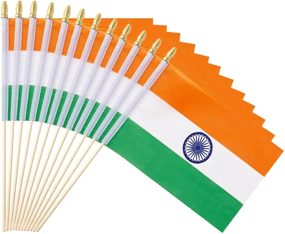 25Pack Small India Flag Handheld Mini Indian Flags on Stick 5x8 Inch