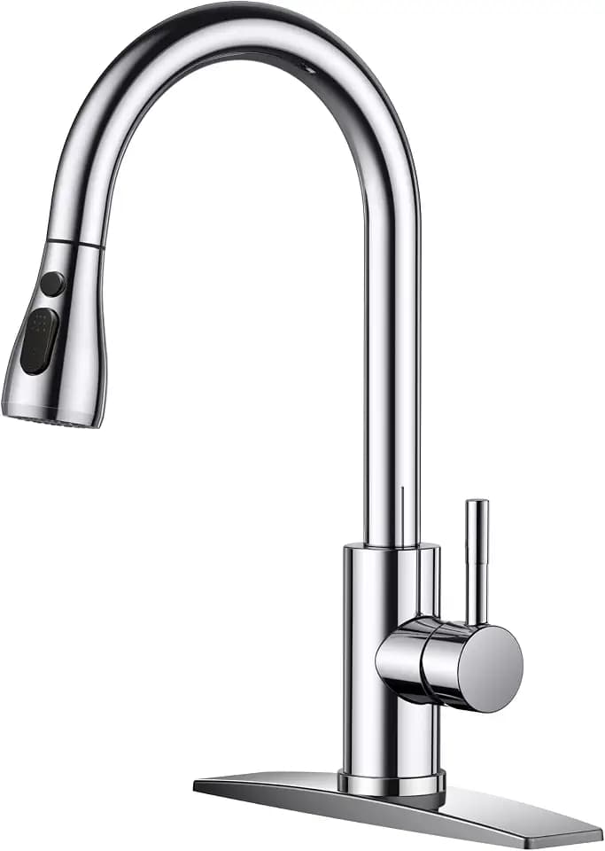 FORIOUS Kitchen Faucets with Pull Down Sprayer, Stainless Steel, Chrome