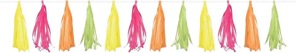 Beistle Plastic Tassel Garland in Neon Colors, Vibrant Hanging Party Decoration for Birthdays Festivals 70’s Dance Parties Carnivals and Summer Events, 9.75” x 8’
