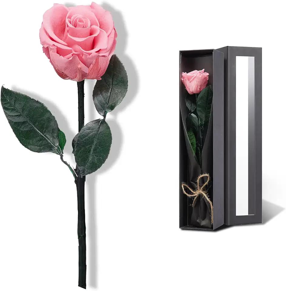 Coral Pink Flowers for Delivery Prime, Preserved Pink Roses Flower Gifts for Women, Real Roses Single Rose Presents for Her, Mom Birthday Gifts from Daughter, Valentines Flowers
